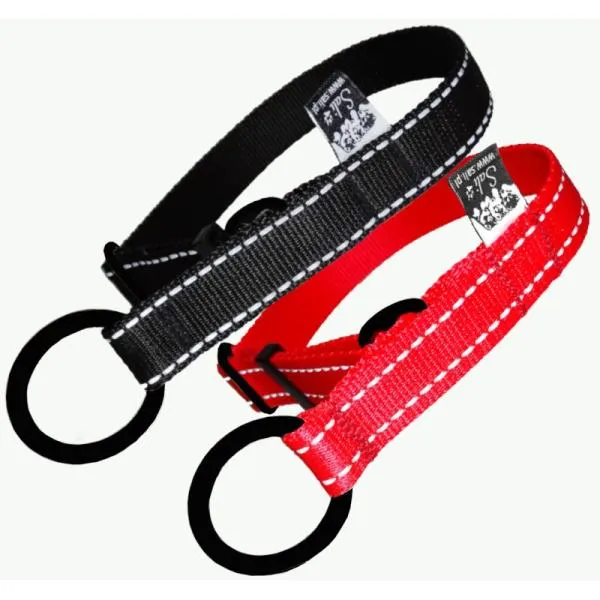 Zugstopp Halsband Flash Alle Farben Black